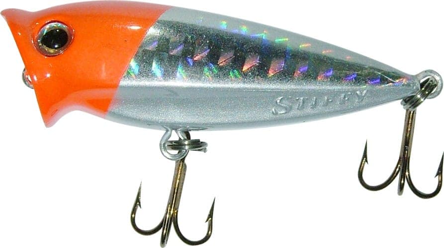 Maguro Labeo
