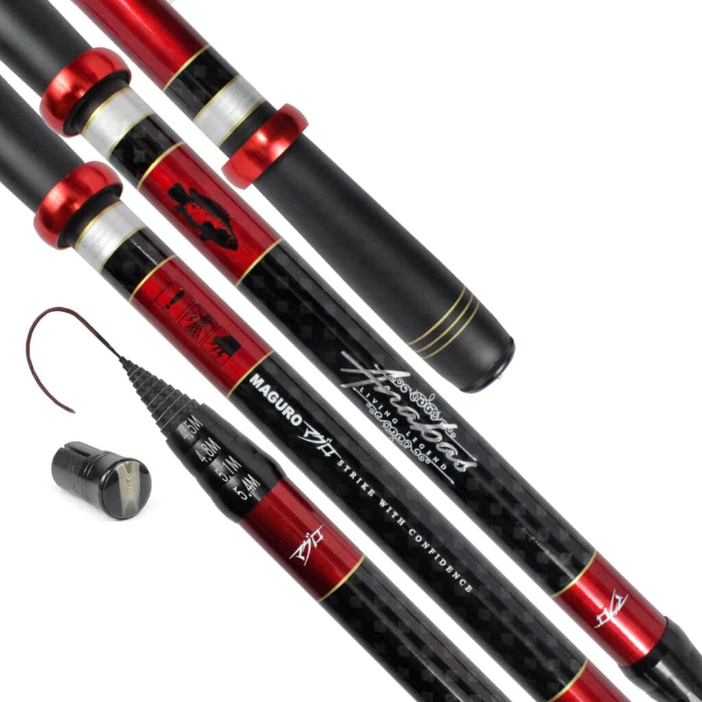 Maguro Anabas