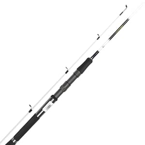 Daiwa Regal X
