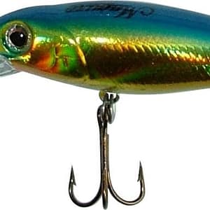 Maguro Ambasis