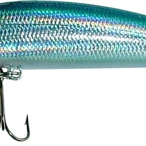 Maguro Arius