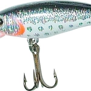Maguro Kikuchi