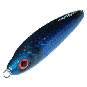 Maguro Moray