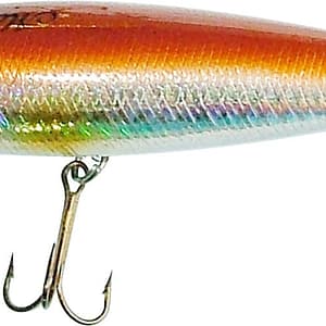 Maguro Mullet