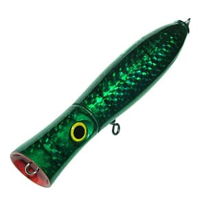 Maguro Squidy