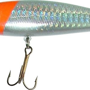 Maguro Tarpon